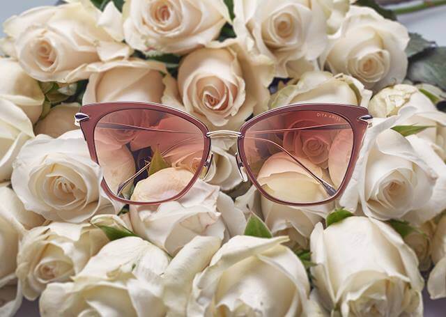 DITA Glasses